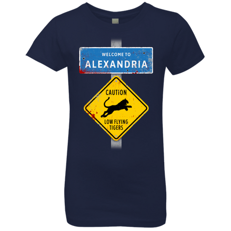 T-Shirts Midnight Navy / YXS Low Flying Tigers Girls Premium T-Shirt