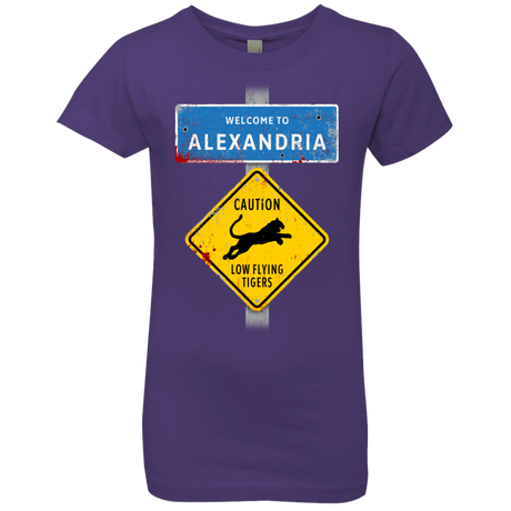 T-Shirts Purple Rush / YXS Low Flying Tigers Girls Premium T-Shirt