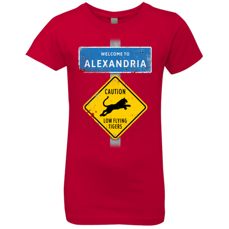T-Shirts Red / YXS Low Flying Tigers Girls Premium T-Shirt