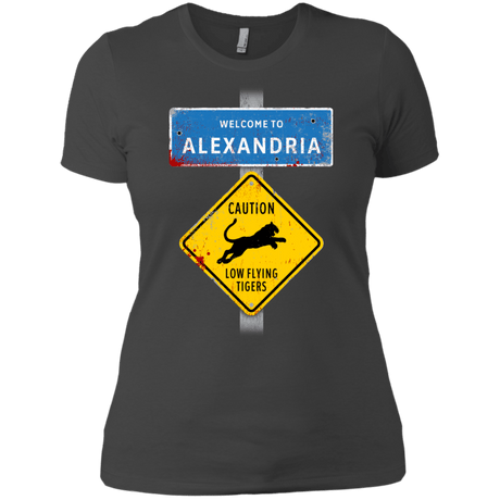 T-Shirts Heavy Metal / X-Small Low Flying Tigers Women's Premium T-Shirt