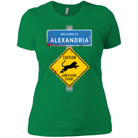 T-Shirts Kelly Green / X-Small Low Flying Tigers Women's Premium T-Shirt