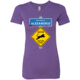 T-Shirts Purple Rush / Small Low Flying Tigers Women's Triblend T-Shirt