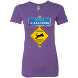 T-Shirts Purple Rush / Small Low Flying Tigers Women's Triblend T-Shirt