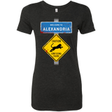 T-Shirts Vintage Black / Small Low Flying Tigers Women's Triblend T-Shirt