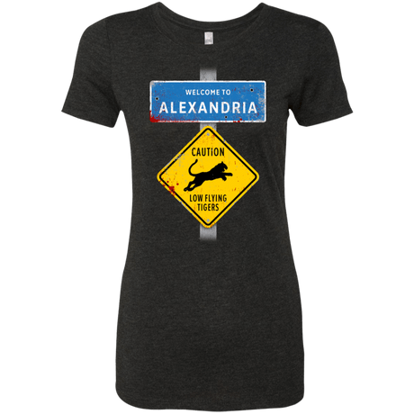 T-Shirts Vintage Black / Small Low Flying Tigers Women's Triblend T-Shirt