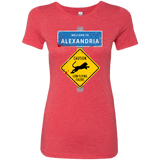 T-Shirts Vintage Red / Small Low Flying Tigers Women's Triblend T-Shirt