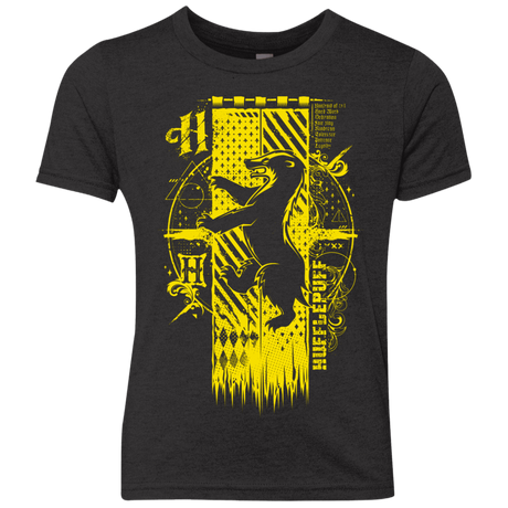 T-Shirts Vintage Black / YXS Magic H House Youth Triblend T-Shirt