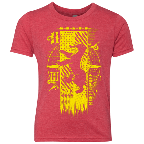 T-Shirts Vintage Red / YXS Magic H House Youth Triblend T-Shirt