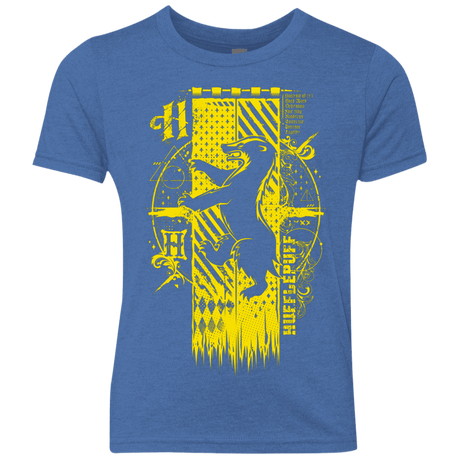 T-Shirts Vintage Royal / YXS Magic H House Youth Triblend T-Shirt