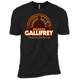 T-Shirts Black / YXS Majestic Gallifrey Boys Premium T-Shirt