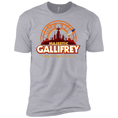 T-Shirts Heather Grey / YXS Majestic Gallifrey Boys Premium T-Shirt