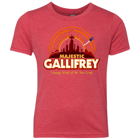 T-Shirts Vintage Red / YXS Majestic Gallifrey Youth Triblend T-Shirt