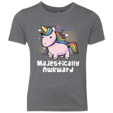 T-Shirts Premium Heather / YXS Majestically Awkward Youth Triblend T-Shirt