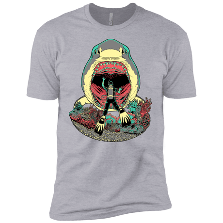 T-Shirts Heather Grey / YXS Megalodoom Boys Premium T-Shirt