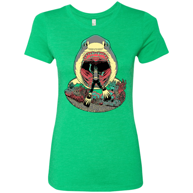 T-Shirts Envy / S Megalodoom Women's Triblend T-Shirt