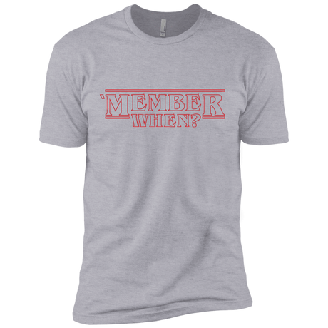 T-Shirts Heather Grey / X-Small Member When Men's Premium T-Shirt