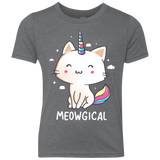 T-Shirts Premium Heather / YXS Meowgical Youth Triblend T-Shirt