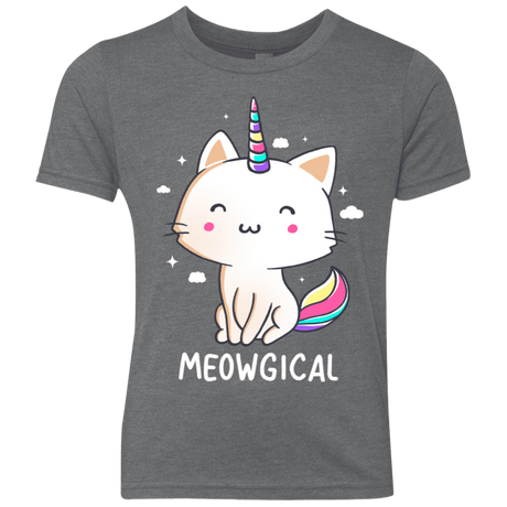 T-Shirts Premium Heather / YXS Meowgical Youth Triblend T-Shirt