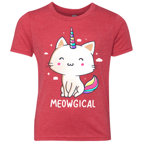 T-Shirts Vintage Red / YXS Meowgical Youth Triblend T-Shirt