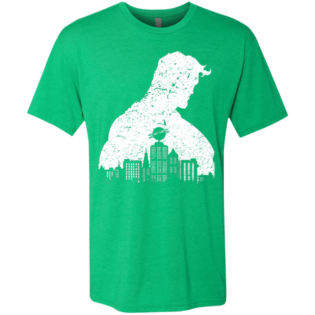 T-Shirts Envy / Small Metropolis Shadow Men's Triblend T-Shirt