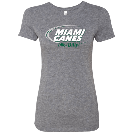 T-Shirts Premium Heather / Small Miami Dilly Dilly Women's Triblend T-Shirt