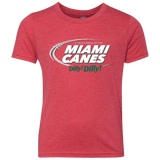 T-Shirts Vintage Red / YXS Miami Dilly Dilly Youth Triblend T-Shirt