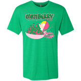 T-Shirts Envy / Small Mintberry Crunch Men's Triblend T-Shirt