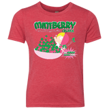T-Shirts Vintage Red / YXS Mintberry Crunch Youth Triblend T-Shirt