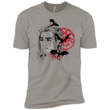 T-Shirts Light Grey / YXS MOTHER OF DRAGONS (1) Boys Premium T-Shirt