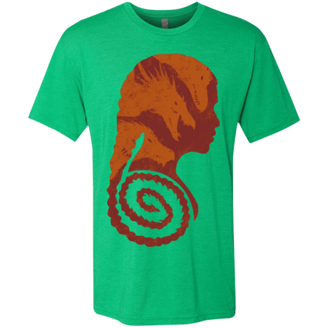 T-Shirts Envy / Small Mother of Dragons Men's Triblend T-Shirt