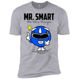 T-Shirts Heather Grey / X-Small Mr Smart Men's Premium T-Shirt