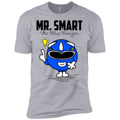 T-Shirts Heather Grey / X-Small Mr Smart Men's Premium T-Shirt