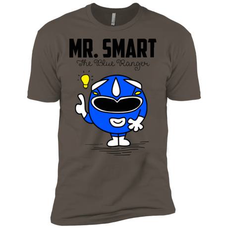 T-Shirts Warm Grey / X-Small Mr Smart Men's Premium T-Shirt