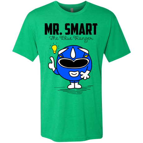 T-Shirts Envy / Small Mr Smart Men's Triblend T-Shirt