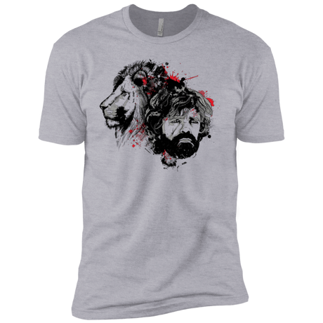 T-Shirts Heather Grey / YXS MY LION Boys Premium T-Shirt