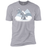T-Shirts Heather Grey / YXS my little walky Boys Premium T-Shirt