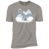 T-Shirts Light Grey / YXS my little walky Boys Premium T-Shirt