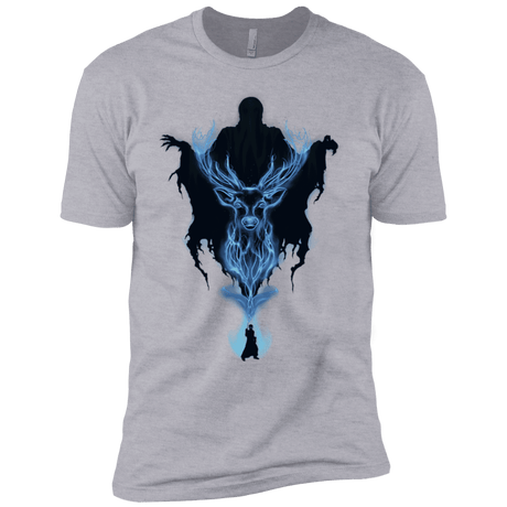 T-Shirts Heather Grey / YXS My Patronus Boys Premium T-Shirt
