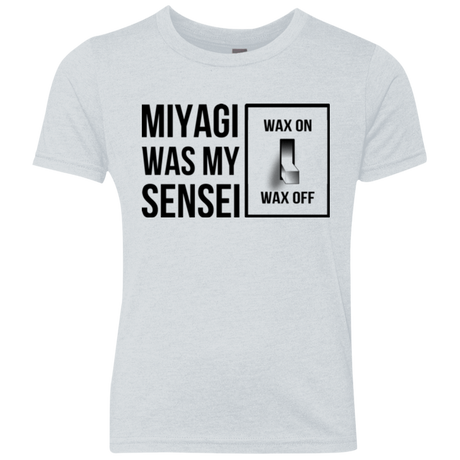 T-Shirts Heather White / YXS My Sensei Youth Triblend T-Shirt