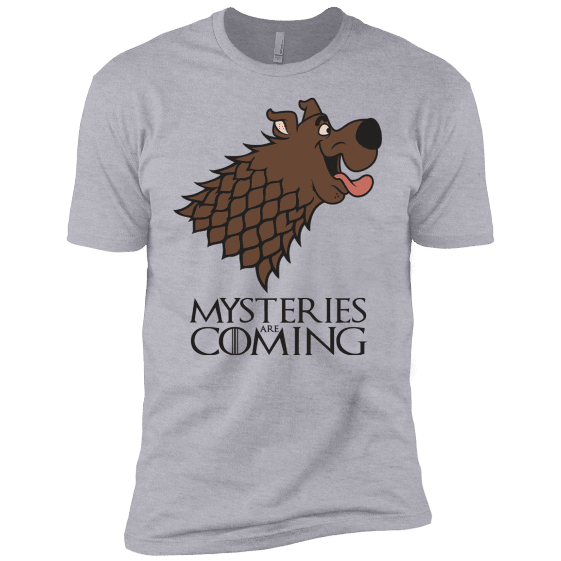 T-Shirts Heather Grey / YXS Mysteries Are Coming Boys Premium T-Shirt