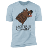 T-Shirts Light Blue / YXS Mysteries Are Coming Boys Premium T-Shirt