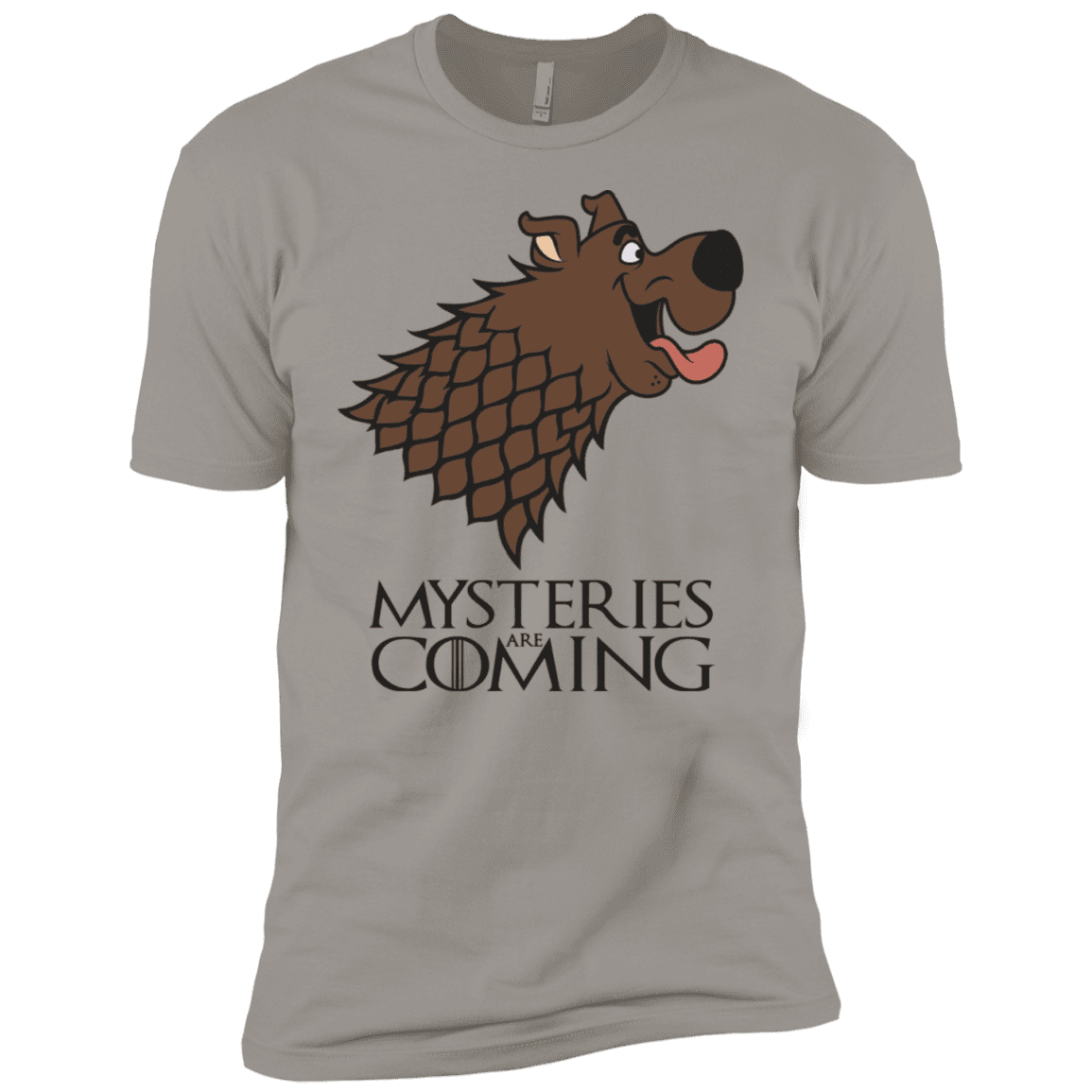 T-Shirts Light Grey / YXS Mysteries Are Coming Boys Premium T-Shirt
