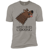 T-Shirts Light Grey / YXS Mysteries Are Coming Boys Premium T-Shirt