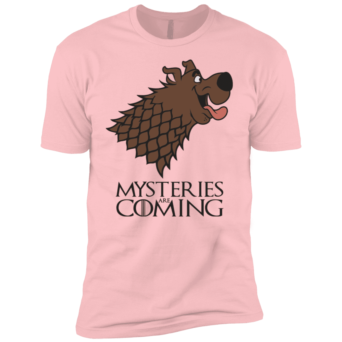 T-Shirts Light Pink / YXS Mysteries Are Coming Boys Premium T-Shirt