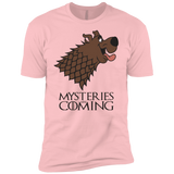 T-Shirts Light Pink / YXS Mysteries Are Coming Boys Premium T-Shirt