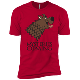 T-Shirts Red / YXS Mysteries Are Coming Boys Premium T-Shirt