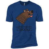 T-Shirts Royal / YXS Mysteries Are Coming Boys Premium T-Shirt