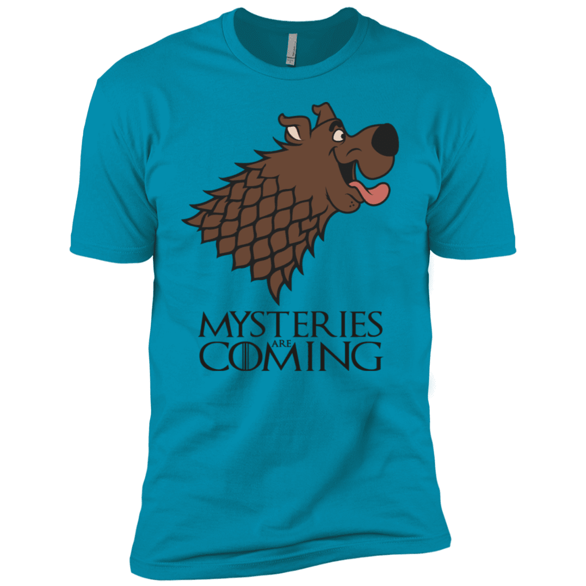 T-Shirts Turquoise / YXS Mysteries Are Coming Boys Premium T-Shirt