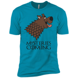 T-Shirts Turquoise / YXS Mysteries Are Coming Boys Premium T-Shirt
