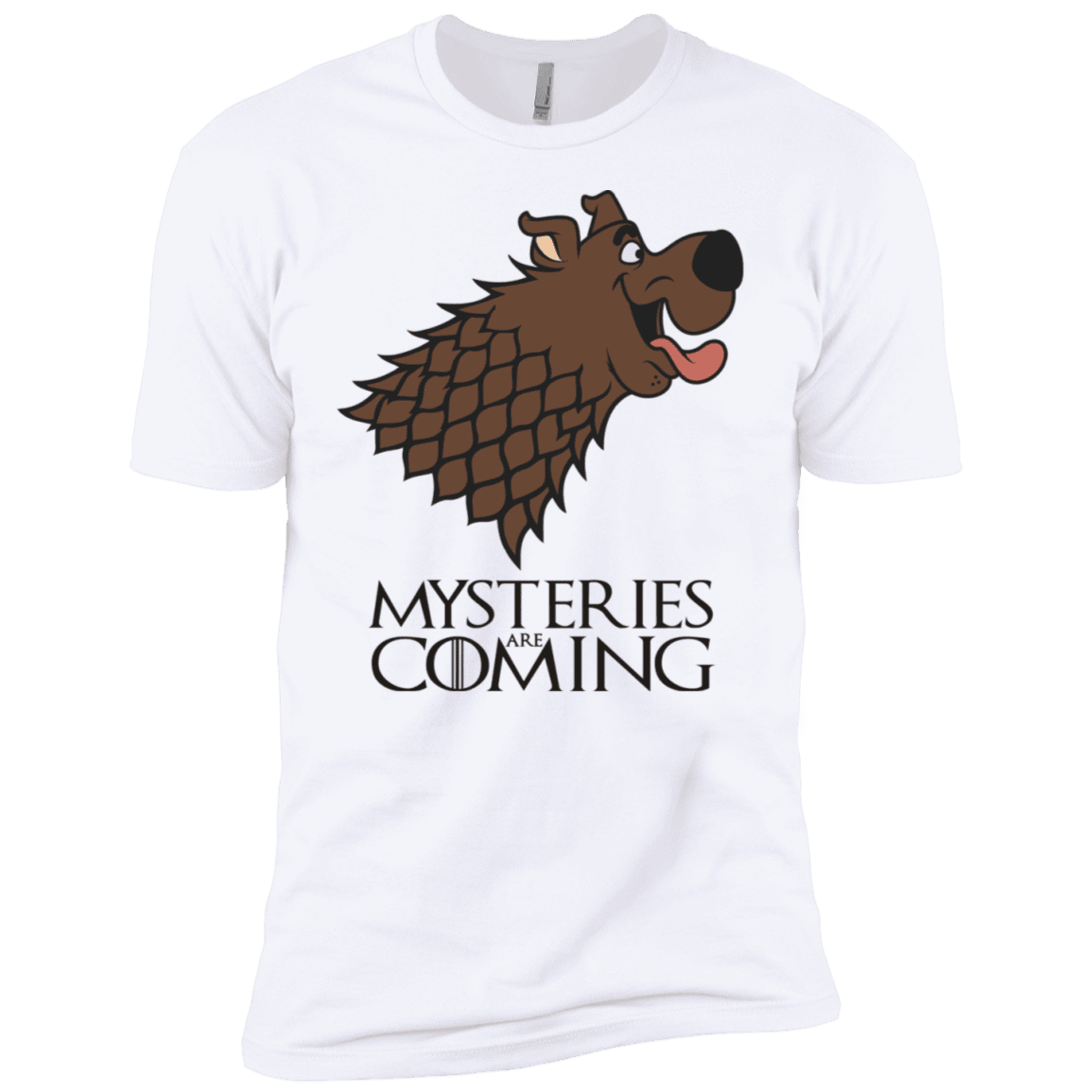 T-Shirts White / YXS Mysteries Are Coming Boys Premium T-Shirt